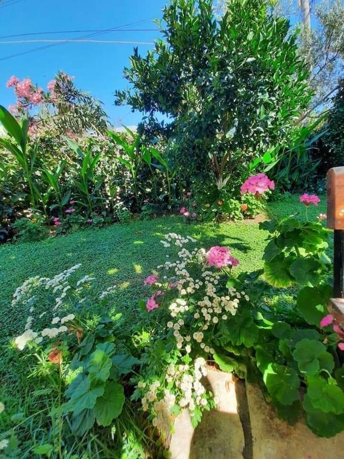 Villa Festim Ksamil Eksteriør bilde